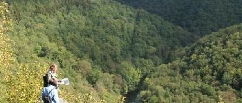 Point d'intérêt La Roche-en-Ardenne - La vue vers la vallée - Photo