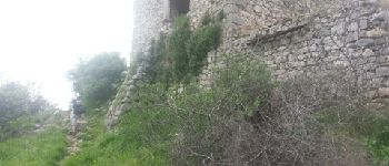 Point d'intérêt Saint-Jeannet - chateau en ruines - Photo