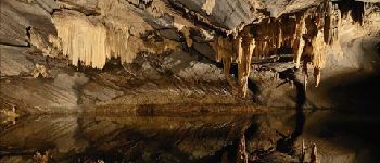 Punto de interés Rochefort - Caves of Han - Photo