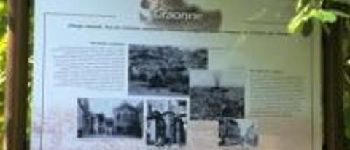POI Craonne - Arboretum et les vestiges du village de Craonne - Photo