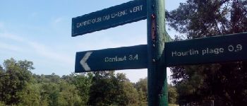 Point d'intérêt Hourtin - Carrefour du Chêne vert - Photo