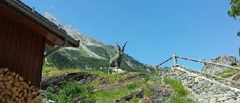 Point d'intérêt Pralognan-la-Vanoise - Retour su Pralognan - Photo
