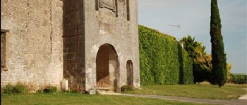 Point d'intérêt Bellevigne - Les vestiges d'un château du Moyen Age - Photo