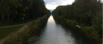 Point d'intérêt Artzenheim - Le canal de Colmar - Photo