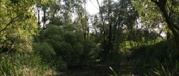 Punto di interesse Rochefort - Baty pond - Mare du Baty - Photo