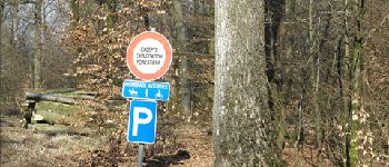Point of interest Florenville - Petite route  - Photo