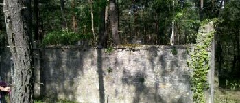 Point d'intérêt Fontainebleau - 10 - Rocher de la Salamandre - Photo