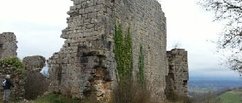 Point d'intérêt Gintrac - Ruines de Taillefer - Photo