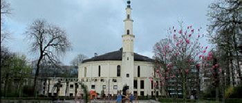 Punto de interés Bruselas - La grande mosquée  - Photo