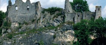 Point d'intérêt Onhaye - Ruines de Montaigle - Photo