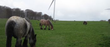 Point d'intérêt Laudrefang - éolienne - Photo
