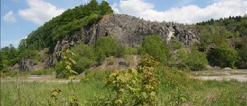 Punto di interesse Tellin - Stone quarry - Photo