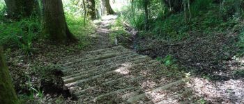 POI Objat - Traversée du bois le long du ruisseau - Photo