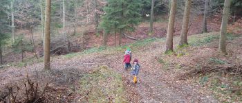 POI Rendeux - Mooie boswandeling met een mooi avontuurlijk bospad - Photo