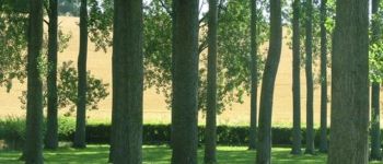 Point d'intérêt Longvilliers - Le bois de Longvilliers - Photo