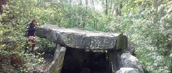 Point d'intérêt Janville-sur-Juine - Dolmen de la pierre levée - Photo