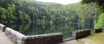 Punto di interesse Metzeral - Lac d'Altenweiher - Photo