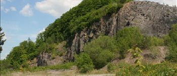 Punto di interesse Tellin - View - Resteigne quarry - Photo