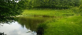 Punto de interés Marval - le calme des petits étangs - Photo