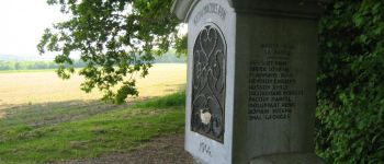 Point d'intérêt Marchin - Maquis de Bagatelle - Photo