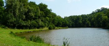 Punto de interés Sivry-Rance - The new Etangs dOstenne (Ostenne Lakes) or Etangs communaux (Communal Lakes) - Photo