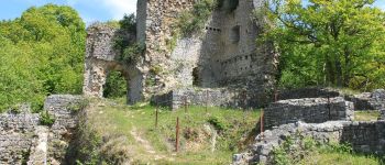 POI Viroinval - Burg Haute Roche  - Photo