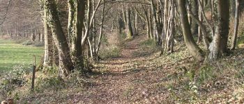 Punto de interés Froidchapelle - Bois de Plécul (Plécul Wood) - Photo