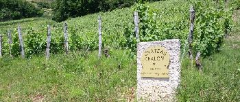 Punto di interesse Château-Chalon - Point 14 - Photo