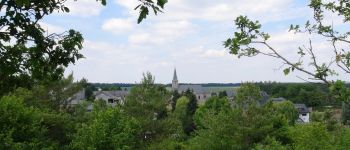 Point d'intérêt Rochefort - Lavaux-Sainte-Anne - Photo
