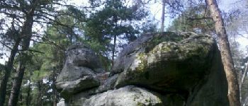 Point d'intérêt Nemours - 04 - Drôle de tronche ce rocher... - Photo