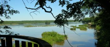 Punto de interés Chimay - The Etang de Virelles (Virelles Lake) - Photo