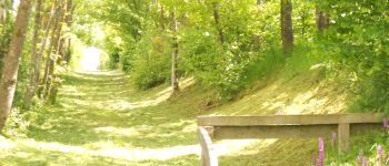 Point of interest Momignies - Chemin des Orchidées (Orchids Path) - Photo