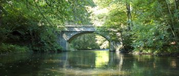 Punto di interesse Libin - Pont des Barbouillons / Barbouillonsbrug - Photo