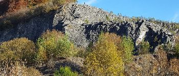 Point of interest Tellin - The Resteigne Quarry - Photo