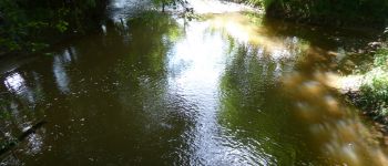 POI Béceleuf - Joli ruisseau. - Photo