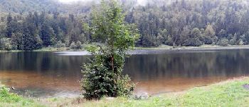 Punto de interés La Bresse - Lac de Blanchemer - Photo