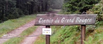 Point d'intérêt La Bresse - Chemin du Grand Bougre - Photo