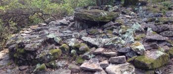 Point d'intérêt Anduze - Dolmen de Pallières - Photo