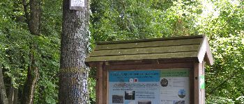 Point d'intérêt Chimay - Bois de Blaimont  - Photo