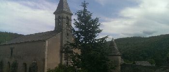 Point d'intérêt Saint-Sauveur-Camprieu - Eglise St Sauveur - Photo
