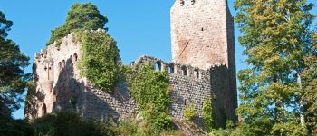 Point d'intérêt Heiligenstein - Le château du Landsberg - Photo