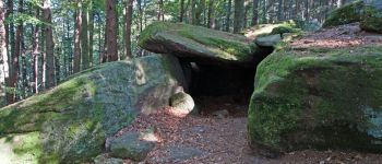POI Barr - La grotte des druides - Photo