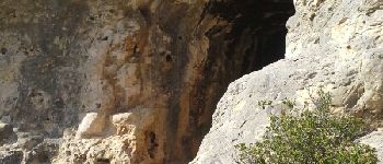 Point d'intérêt Allauch - grottes des escaouprés - Photo