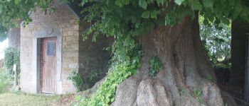 POI Assesse - Chapelle Ste-Barbe et arbres remarquables - Photo