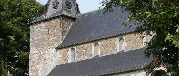POI Assesse - Église Sainte-Geneviève - Photo