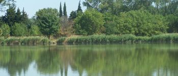 Punto de interés Saint-Rémy-de-Provence - Lac de Barreau - Photo