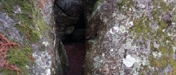 Point d'intérêt Fontainebleau - L Le Passage  des  Syphides - Photo