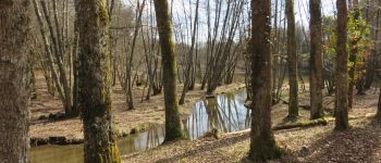 Punto de interés Vigeois - Ruisseau - Photo