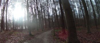 Point d'intérêt Hoeilaert - forêt de soigne - Photo