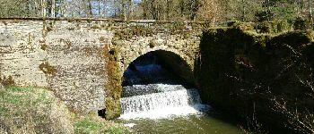 POI Martelingen - Cascade du pont d'Oye - Photo